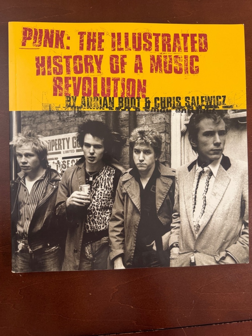 Vintage Book Punk: The Illustrated History of a Music Revolution.